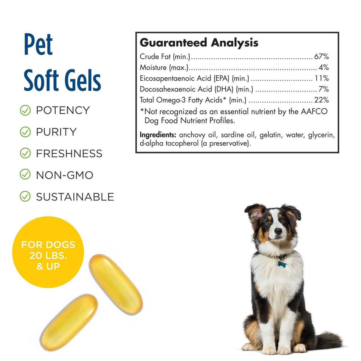 Omega 3 Pet V552027