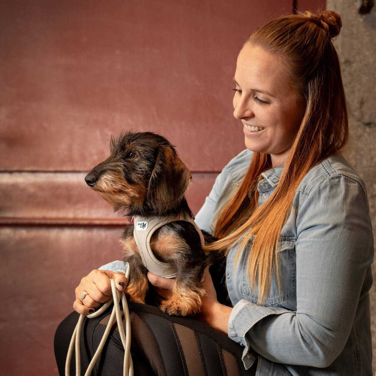 Air-Mesh Dog Harness K316