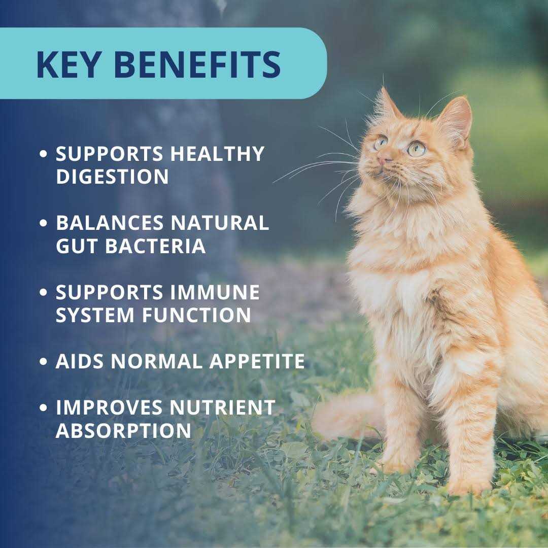 Probiotic Soft Chews Cat Supplement M583