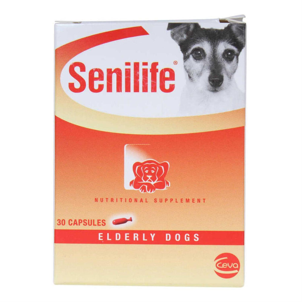Nutritional Supplement for Elderly Dogs V93764