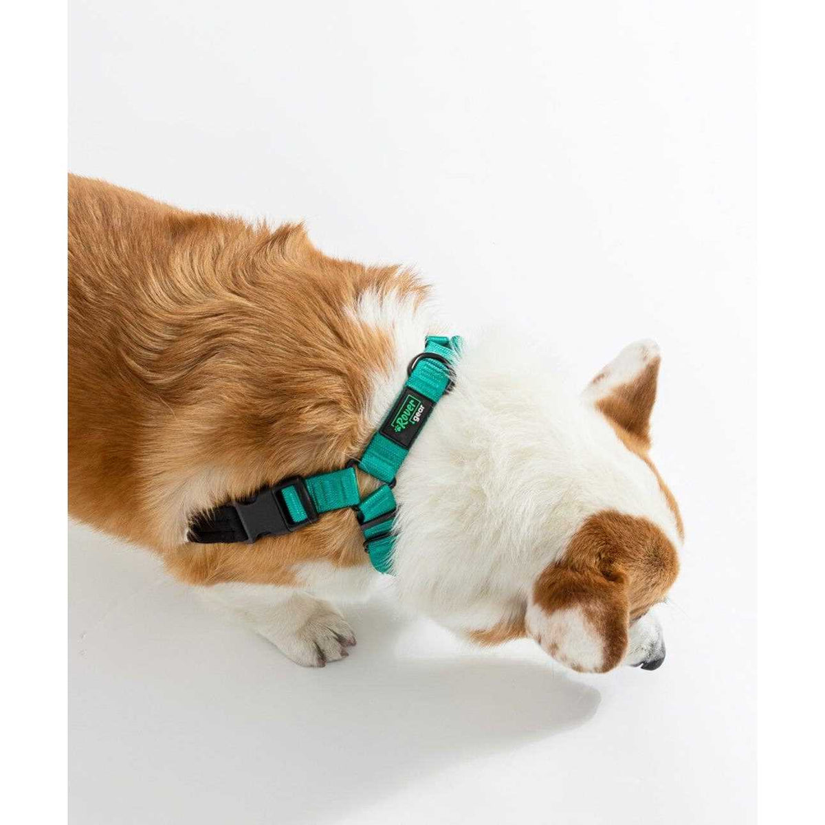 No-Pull Dog Harness O346420