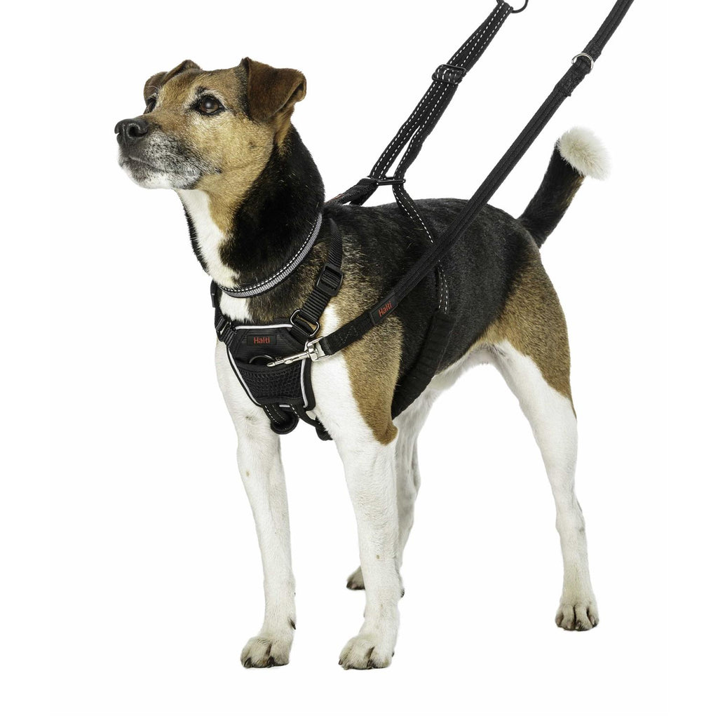 No Pull Dog Harness C591858