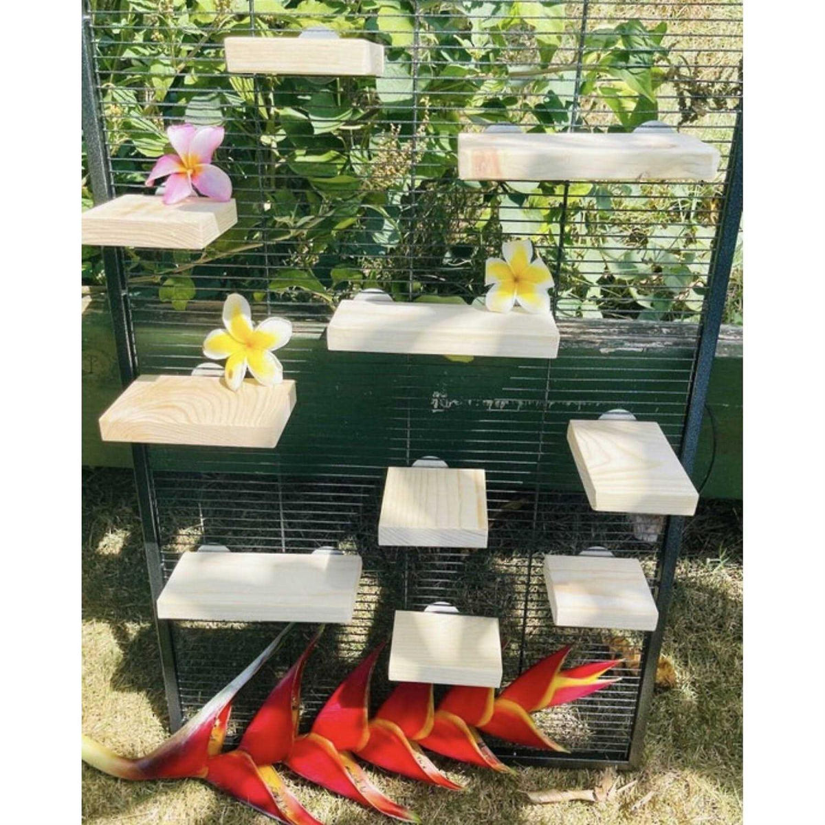 Kiln Dried Pine Small Pet Habitat Accessory W94257