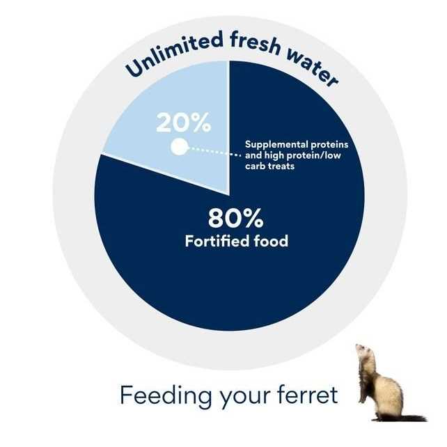 Ferret Formula I35908