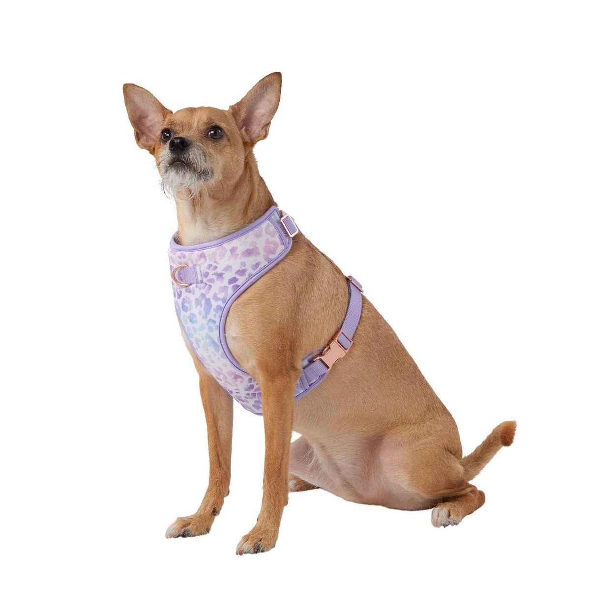 Dog Harness C256277