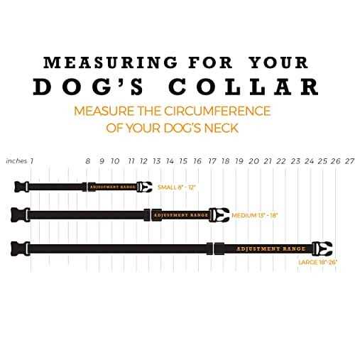 Dog Collar W633718