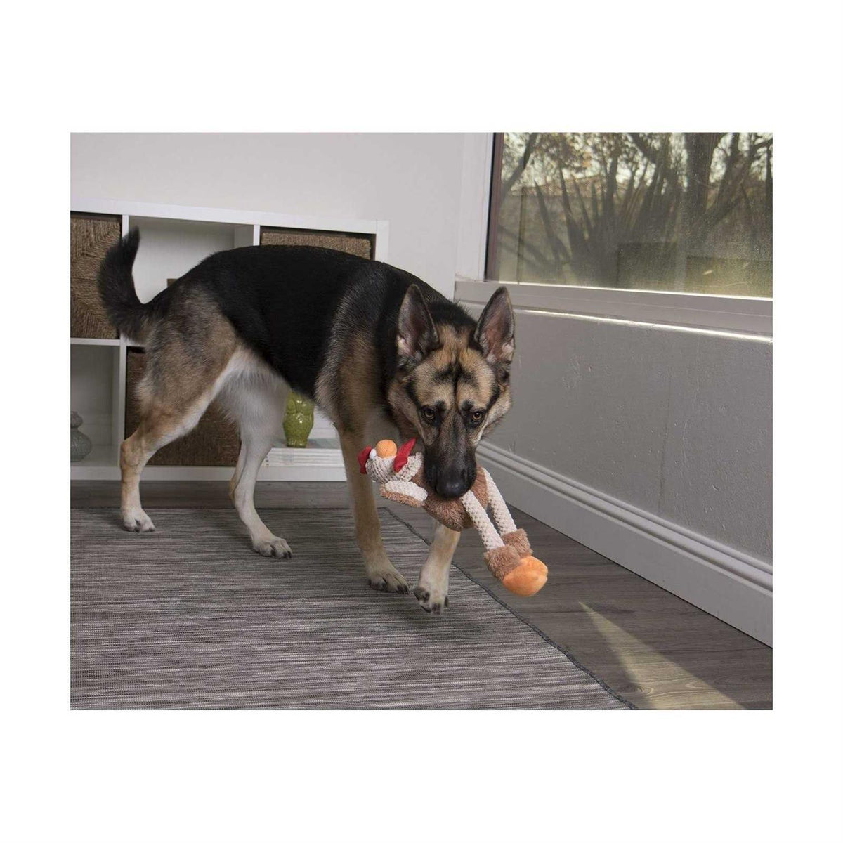 Skinny Rooster Dog Toy S412