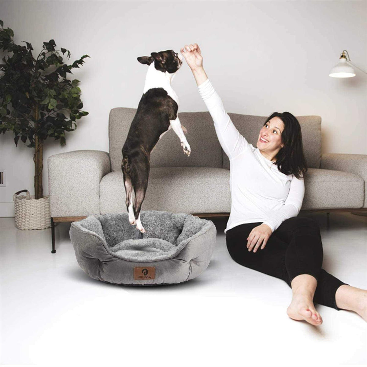 Small Dog Bed T4677