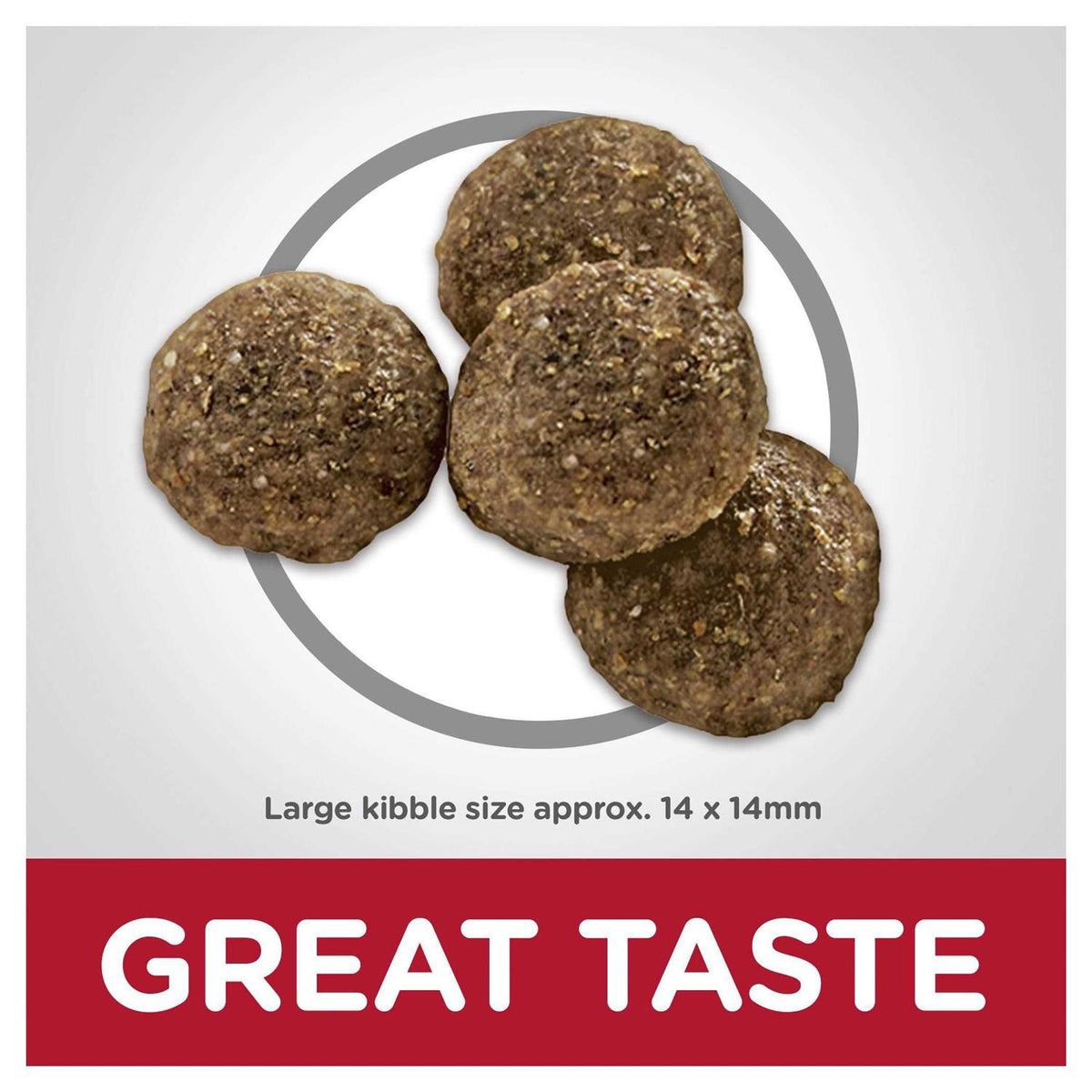 Adult Large Breed Lamb Meal & Brown Rice Dry Dog Food G533000