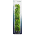 Extra Large Green Plastic Ambulia U4914