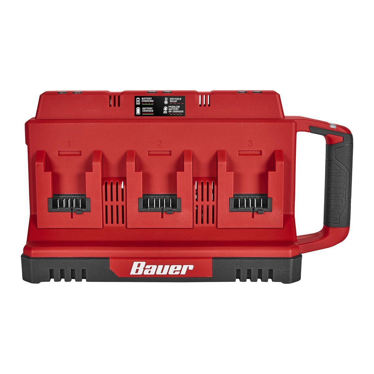 20V 6-Port Sequential Charger with Dual USB Ports L205753