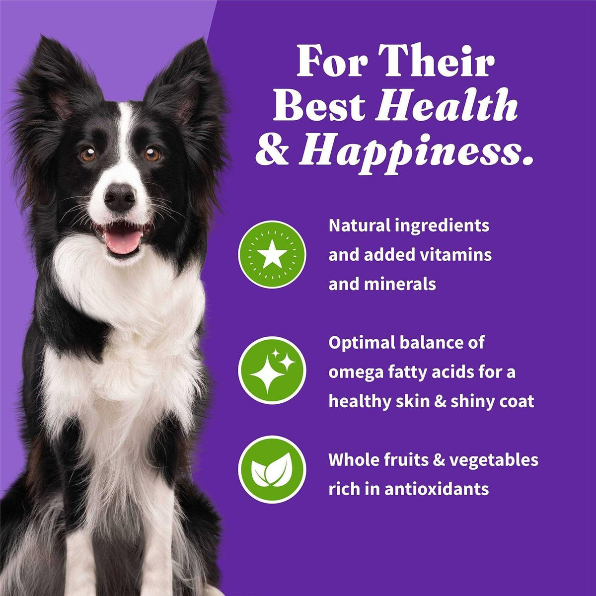 Vegan Plant-Based Dry Dog Food N549