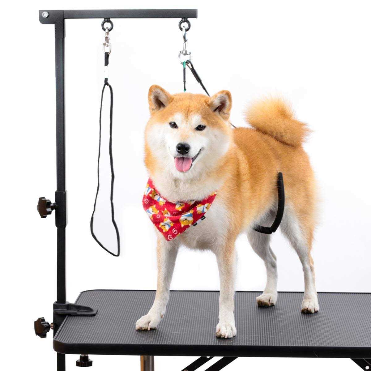 Dog Grooming Table Arm with Clamp and Post W565