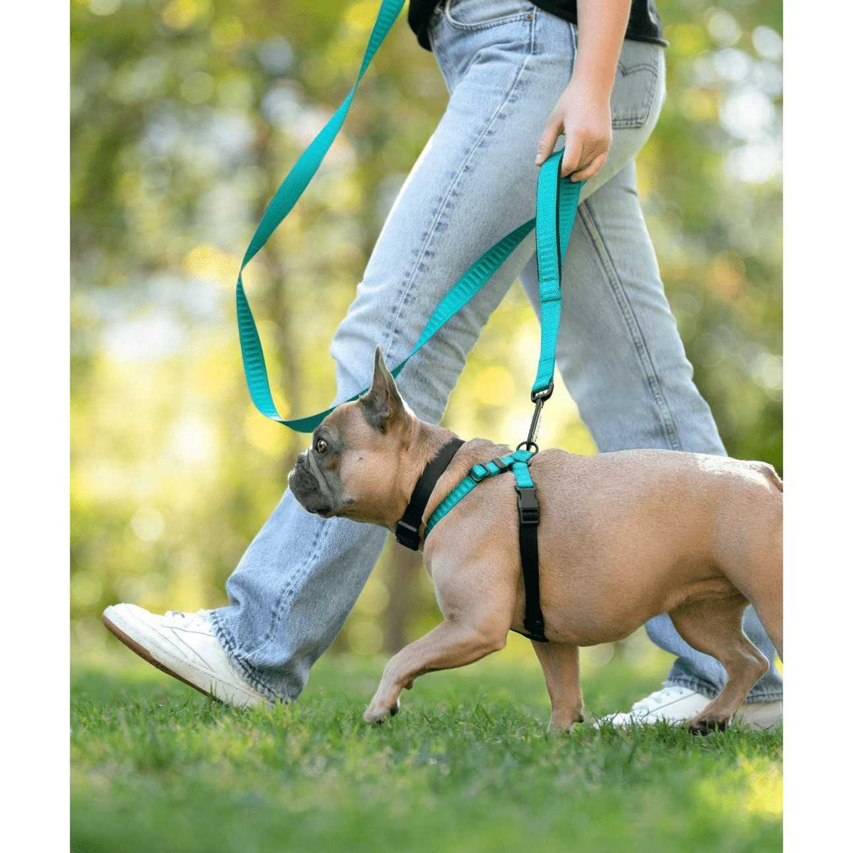 No-Pull Dog Harness O346420