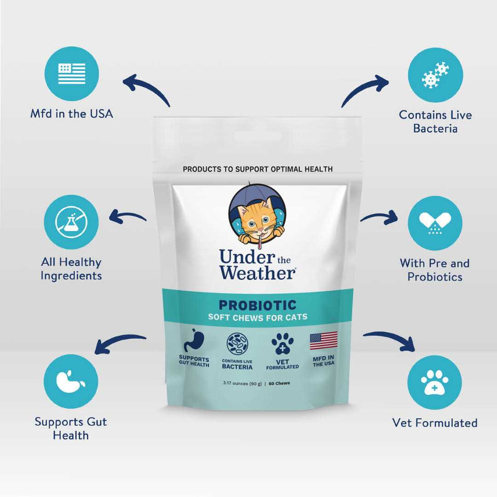 Probiotic Soft Chews Cat Supplement M583