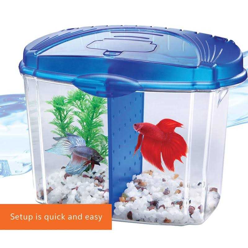 Betta Bowl Kit B127246