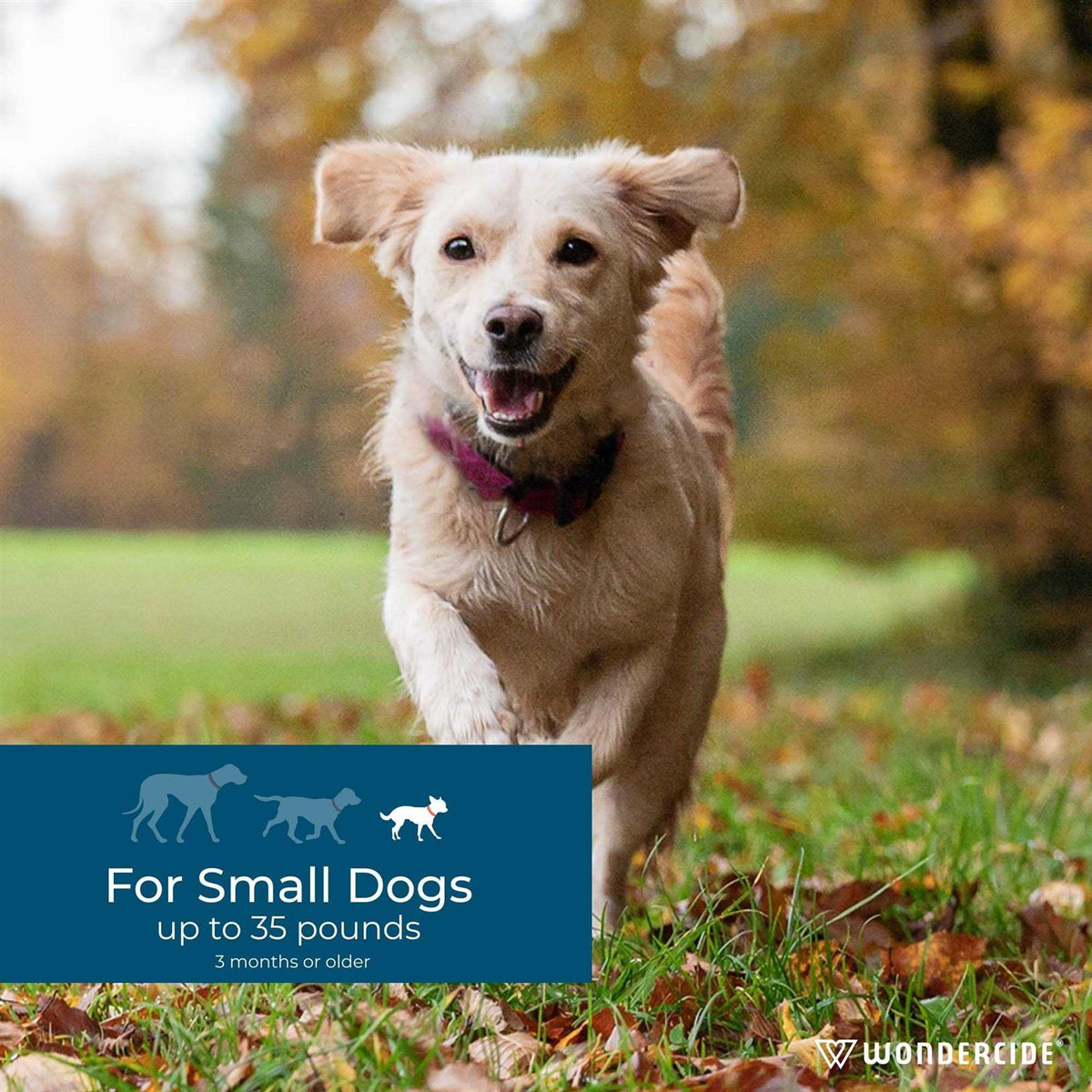 Flea & Tick Spot On for Dogs S83598