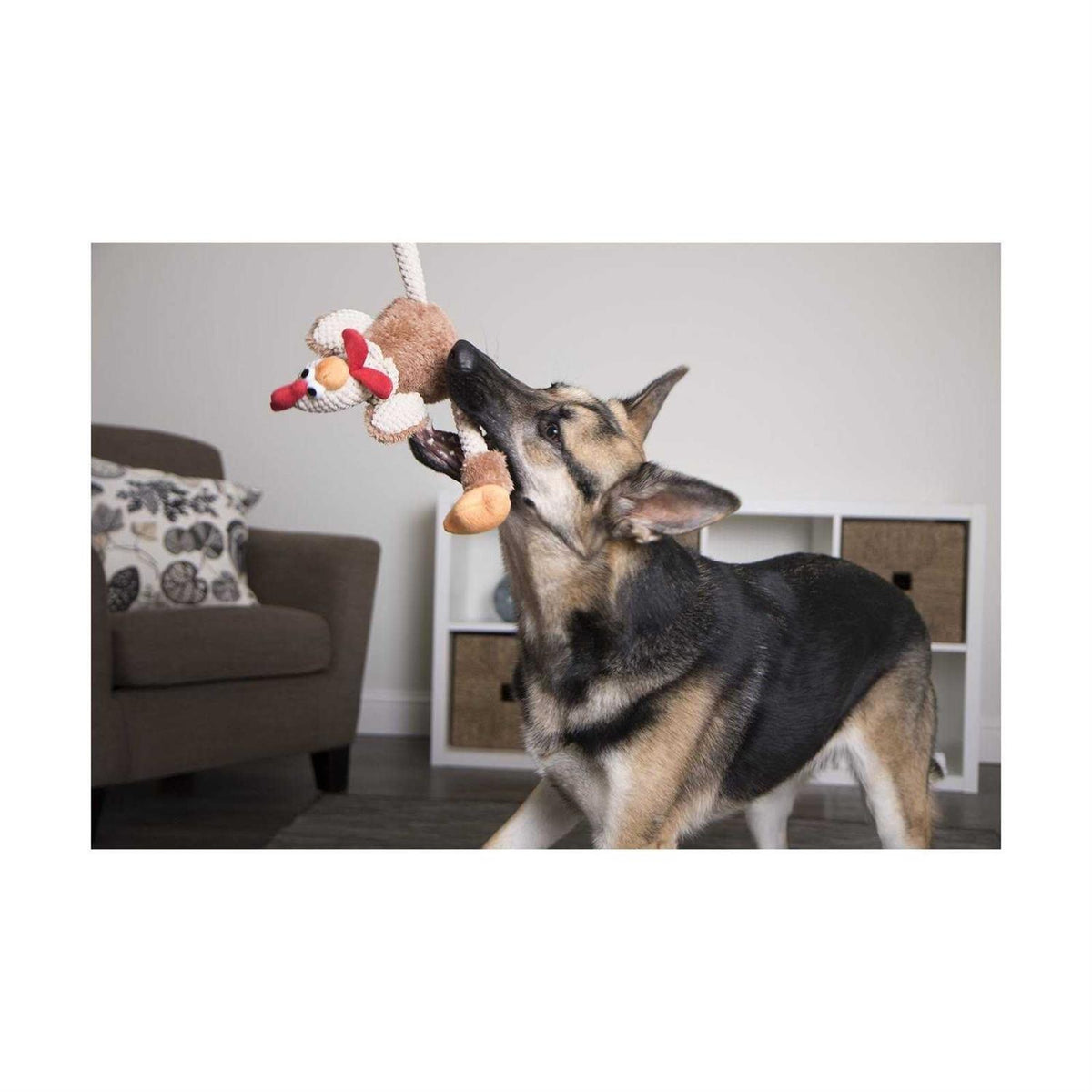 Skinny Rooster Dog Toy S412