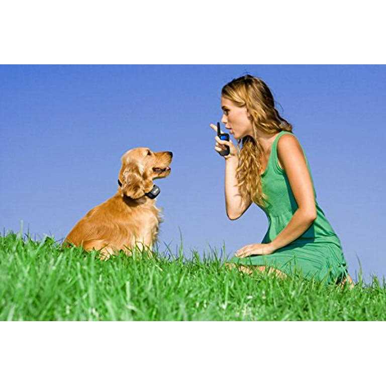 Shock Collar for Small Dogs with Remote C7156