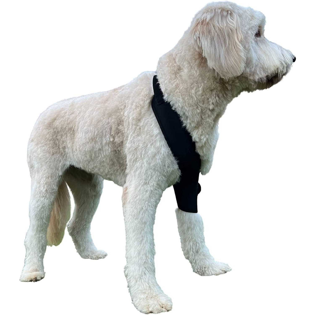 Canine Shoulder Elbow Brace G179