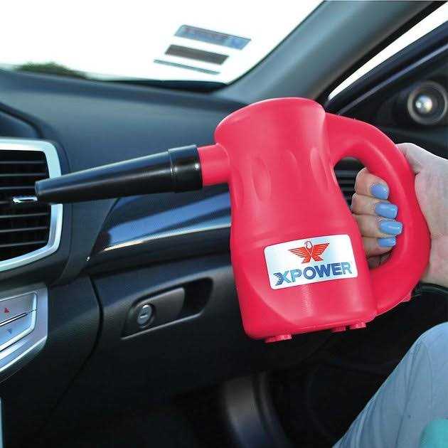 Multipurpose Pet Dryer K321770