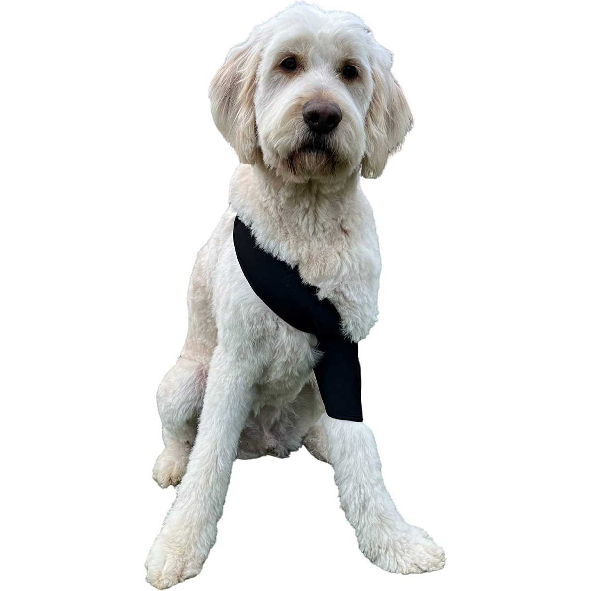 Canine Shoulder Elbow Brace G179