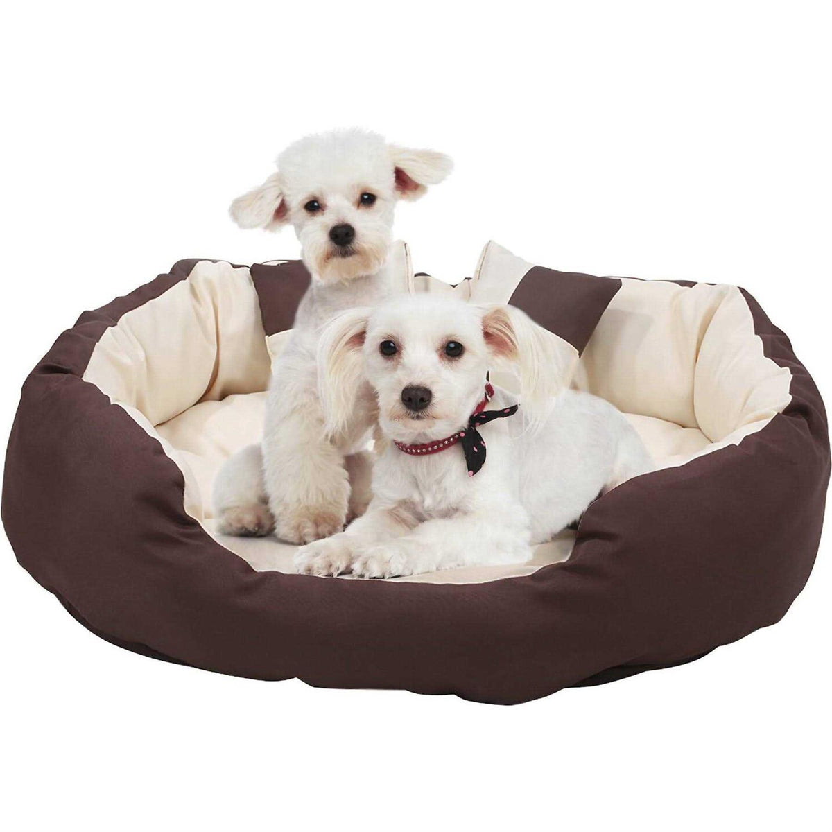 Oval Bolster Cat Dog Bed Y428