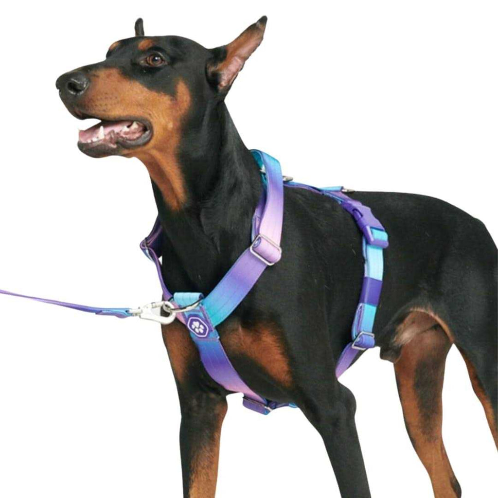No-Pull Dog Harness L533848
