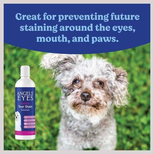Tear Stain Solution H101