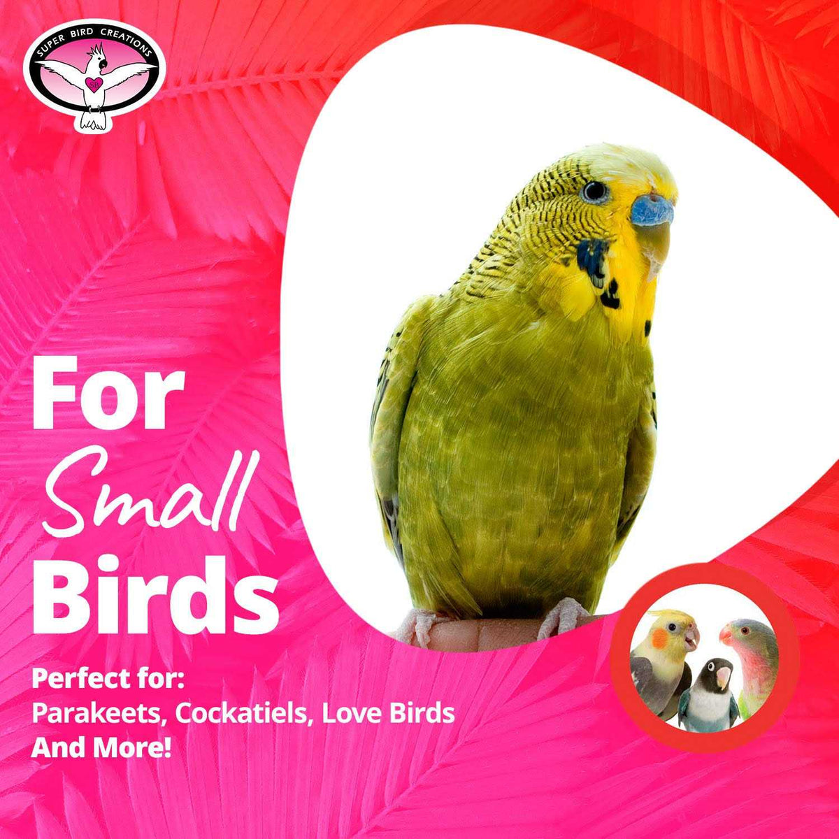 Mini Flying Trapeze Bird Toy I91356