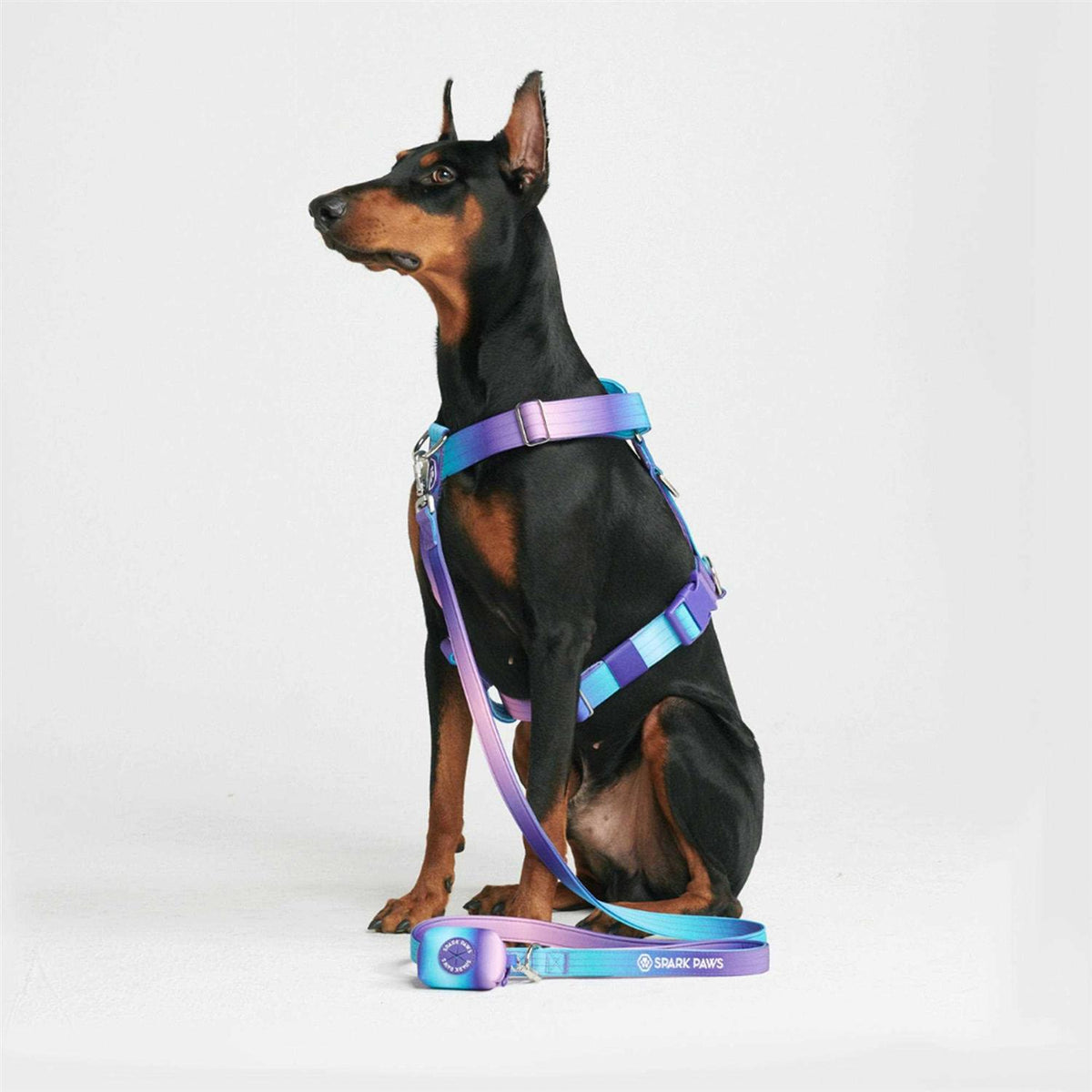 No-Pull Dog Harness L533848