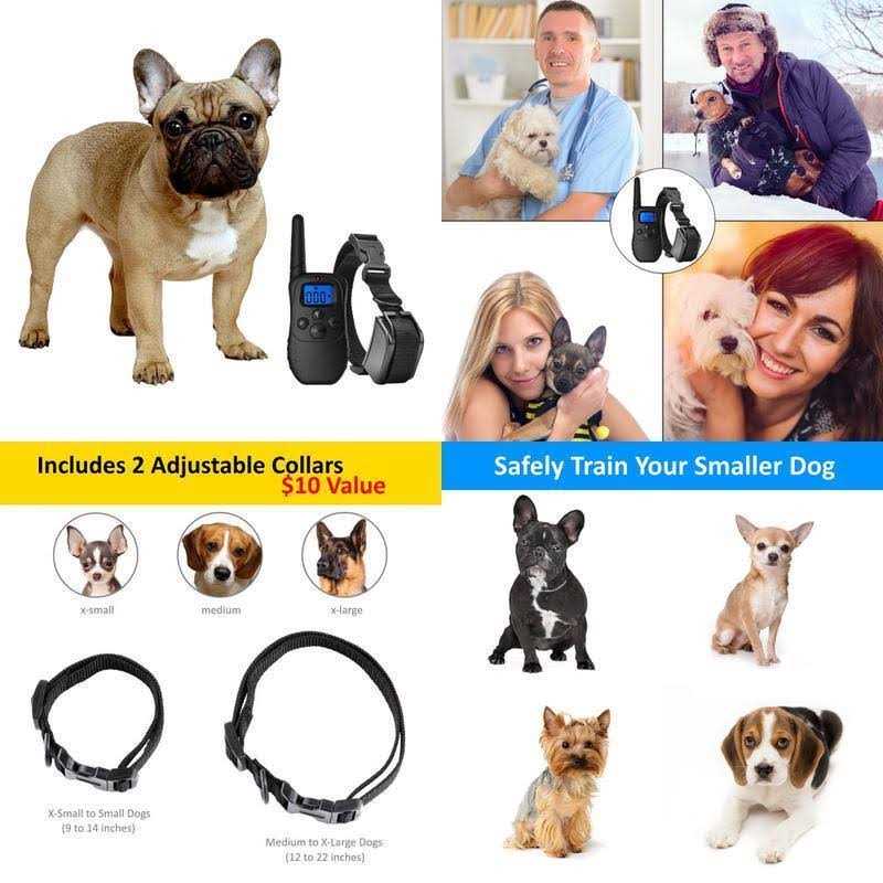 Shock Collar for Small Dogs with Remote C7156