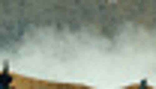 Forest Mist Wall Art P843
