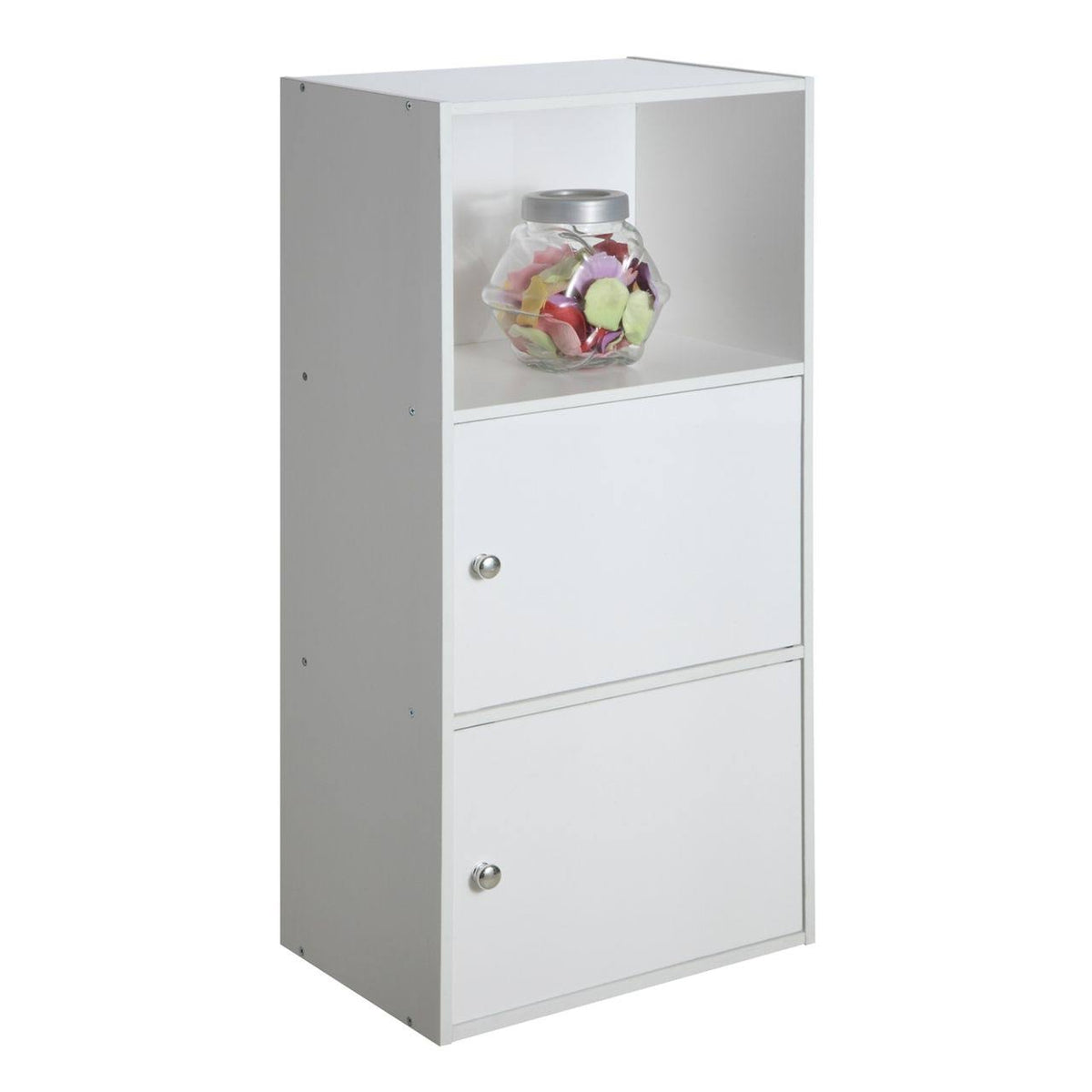 2 Door Storage Cabinet with Shelf B66145