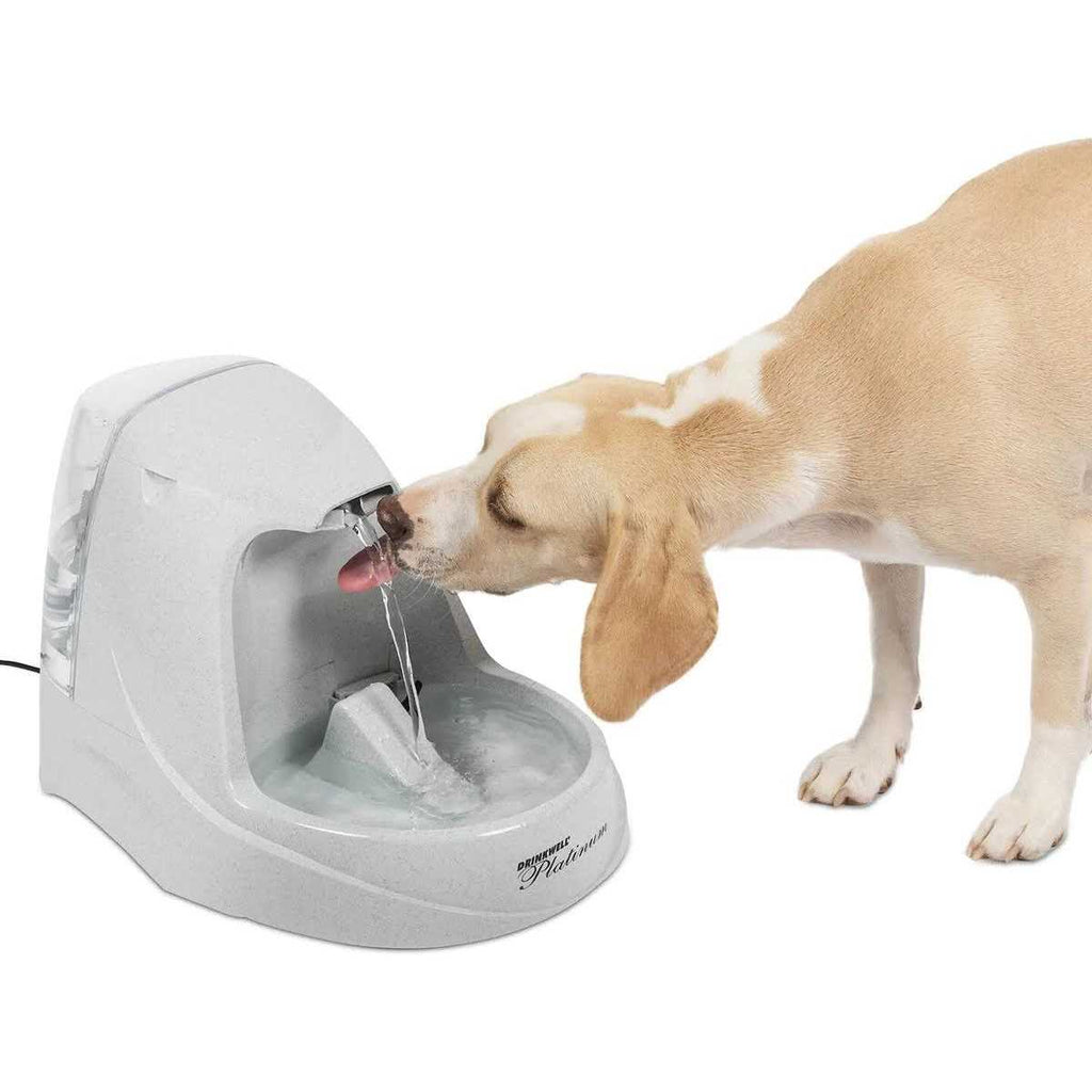 Pet Fountain Z5884