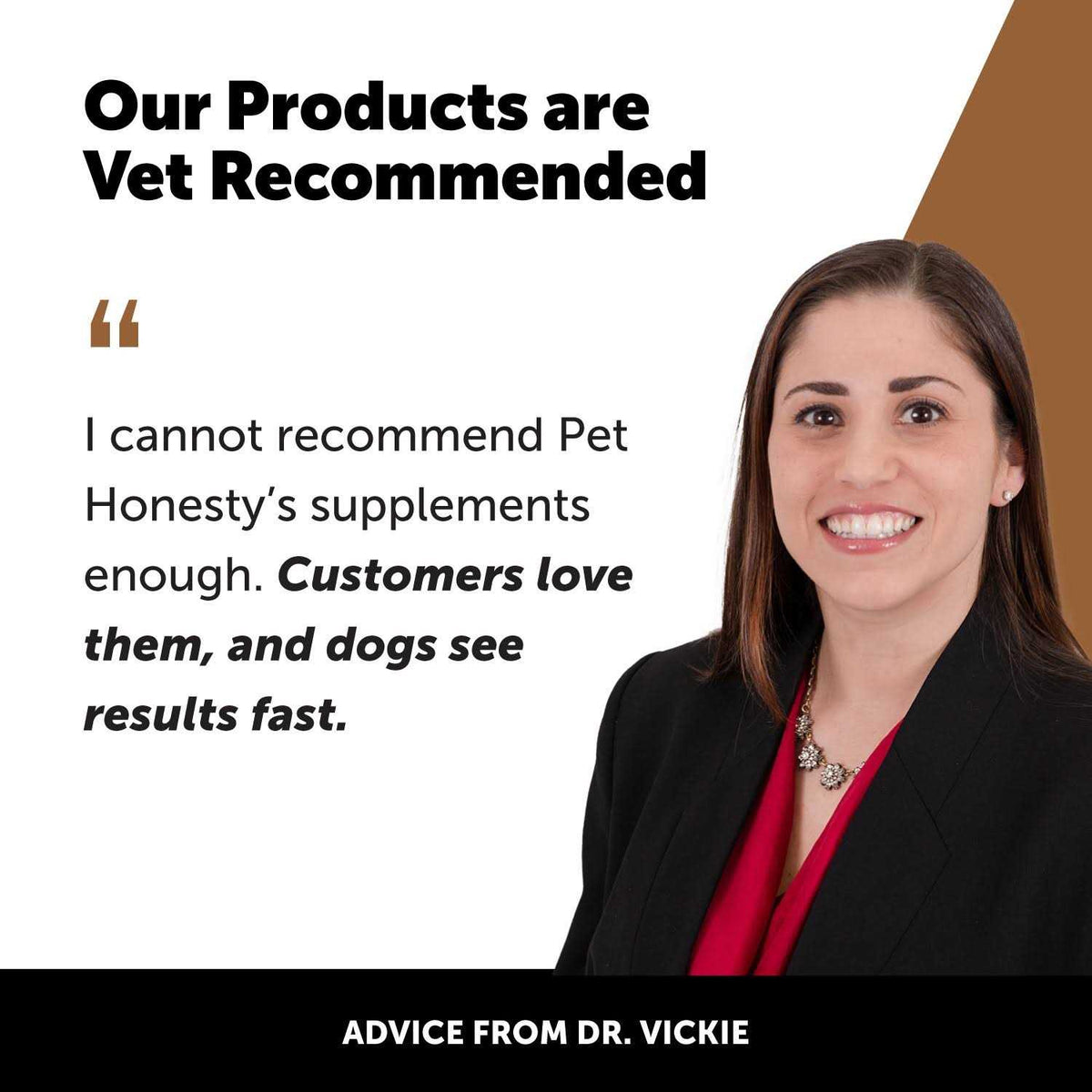 Flea & Tick Support Supplement Soft Chews for Dogs K970503