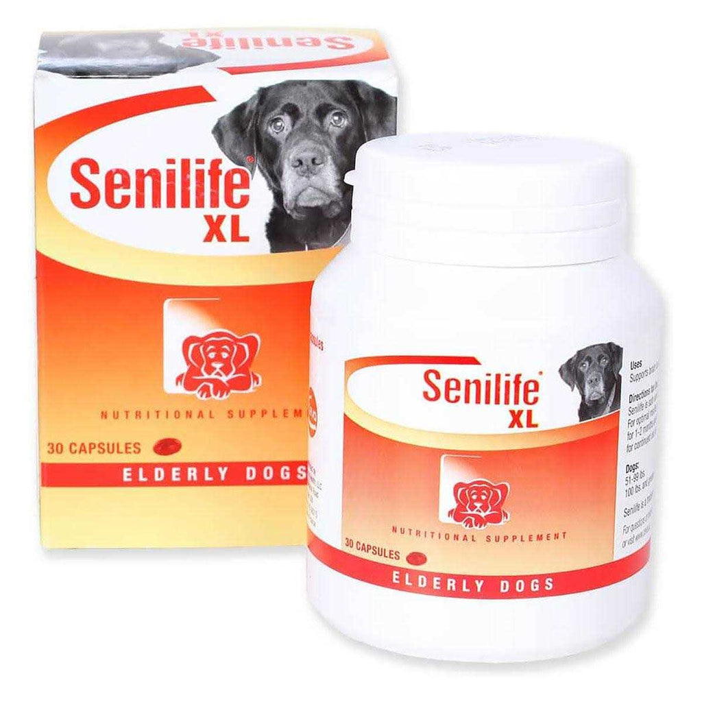 Nutritional Supplement for Elderly Dogs V93764