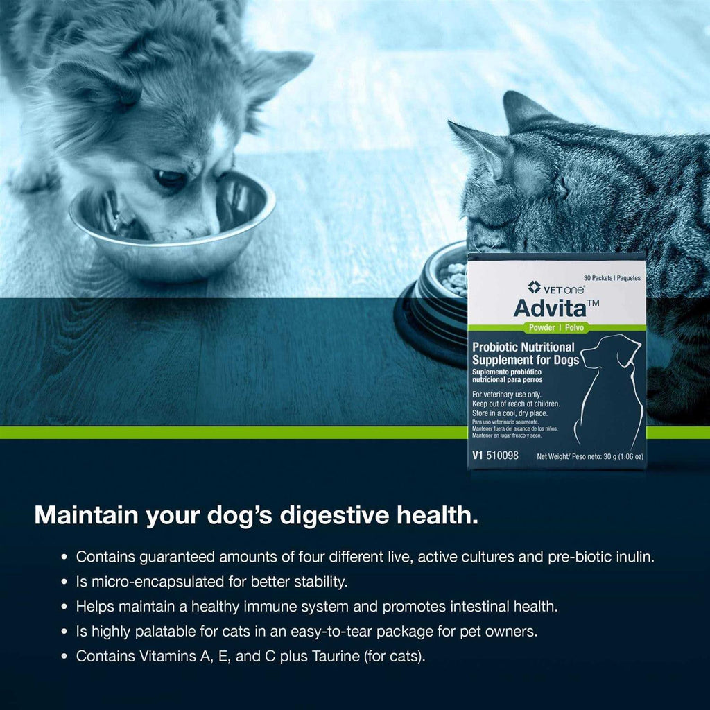 Probiotic Nutritional Supplement for Dogs W14981