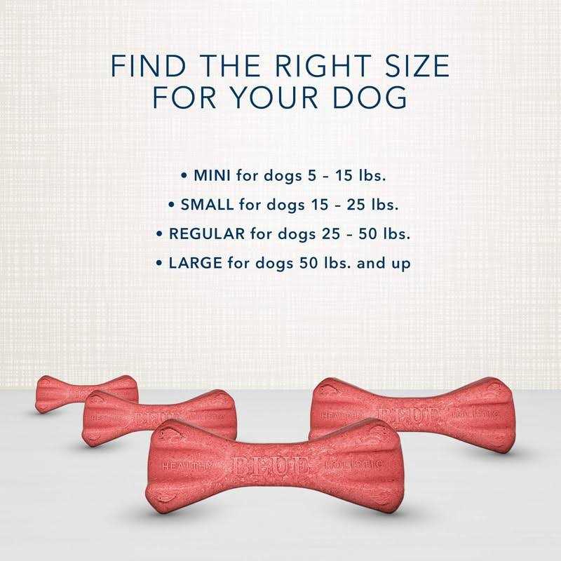 Dental Bones Dog Treats N9347