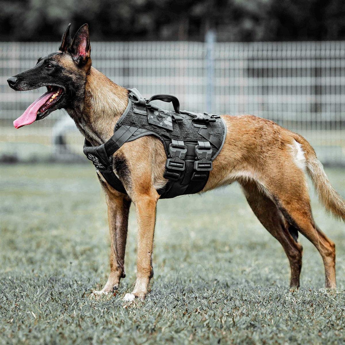Tactical Dog Harness Adjustable Padded MOLLE Vest Q66653