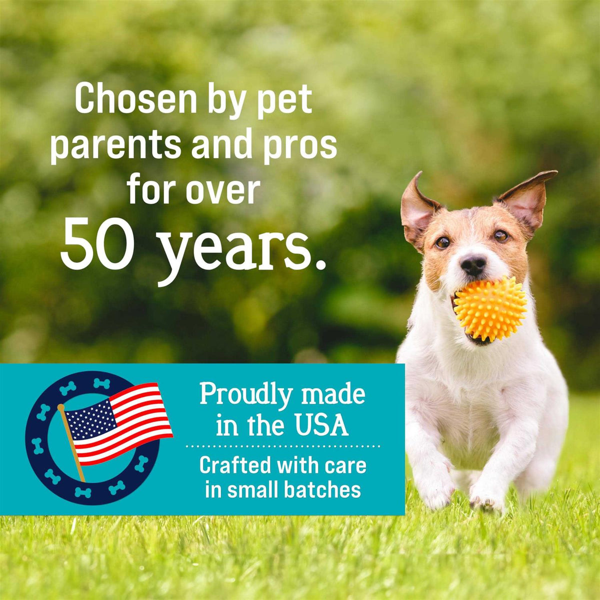 Chicken Freeze Dried Dog Treats S5033