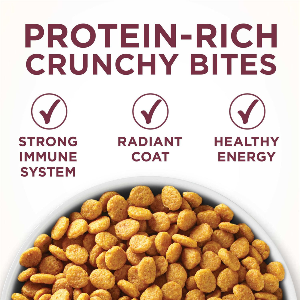 Dry Cat Food J2235