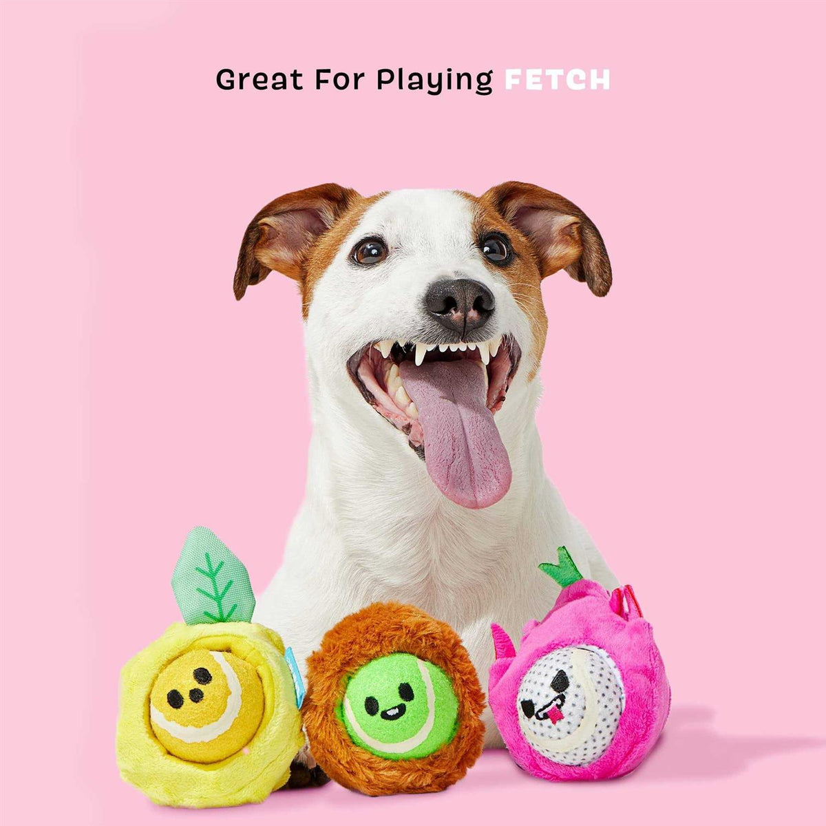 Dog Toys Squeaker Ball Toys Y589