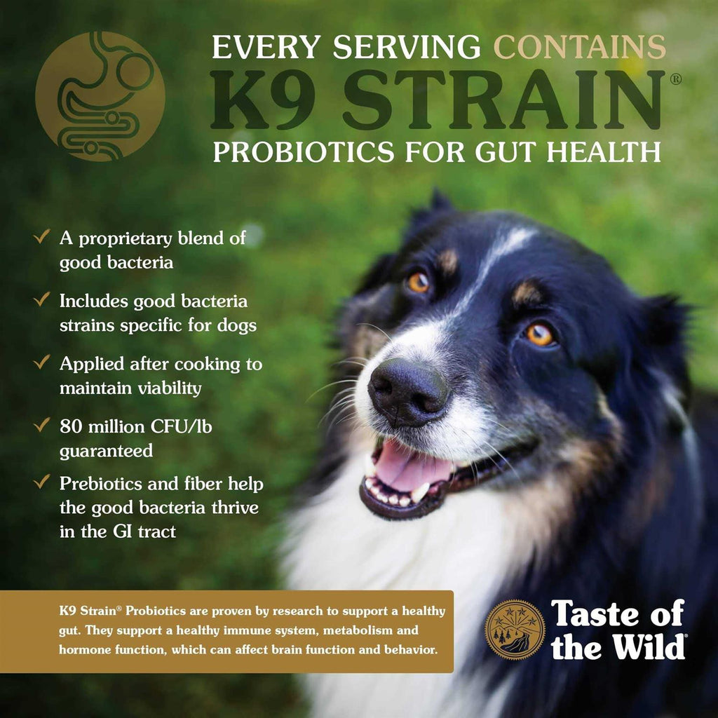 Dog Food U73309