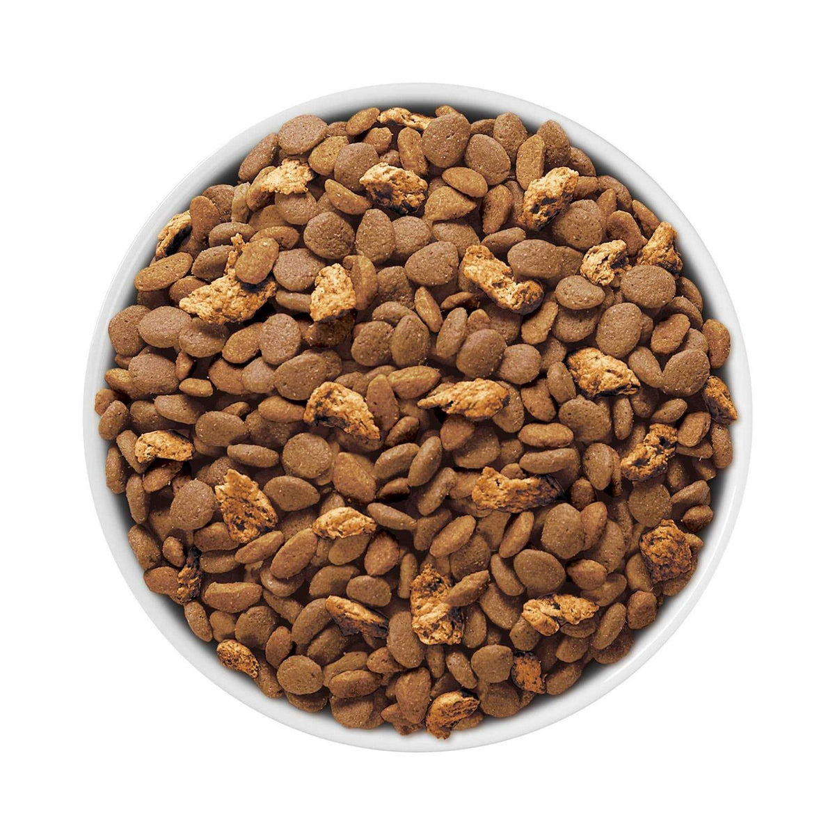 Dry Cat Food P95190