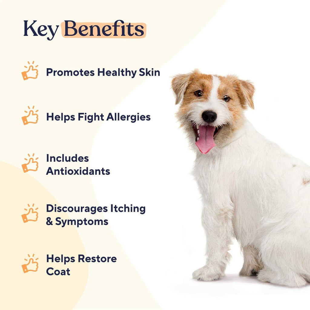 Skin & Coat Soft Chews X385534