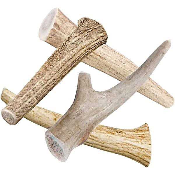 All Natural Whole Deer Antler Dog Chew Treats Q16021