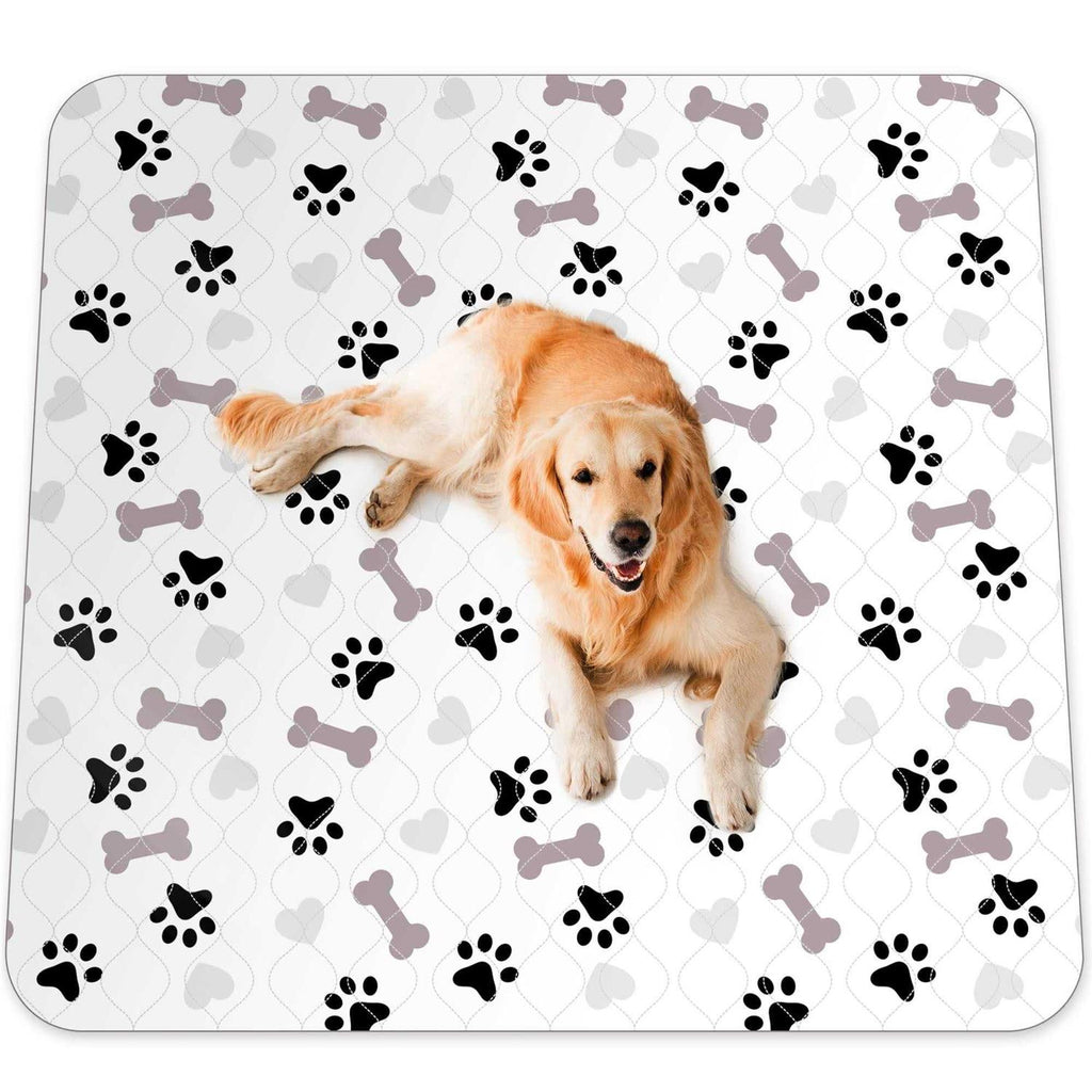 Washable Pee Pads for Dogs B7170