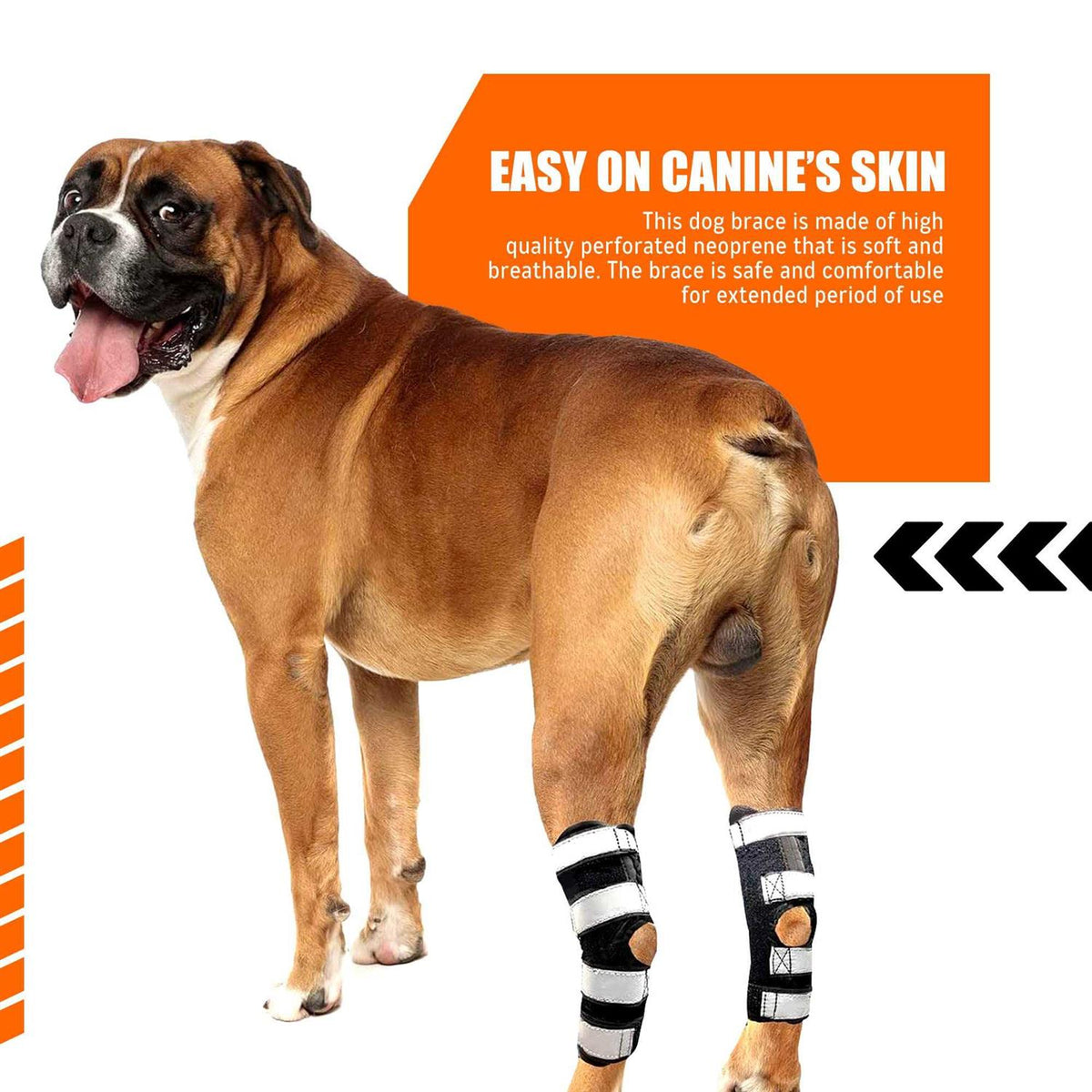 3-in-1 Dog Rear Leg Support Splint Braces J15819