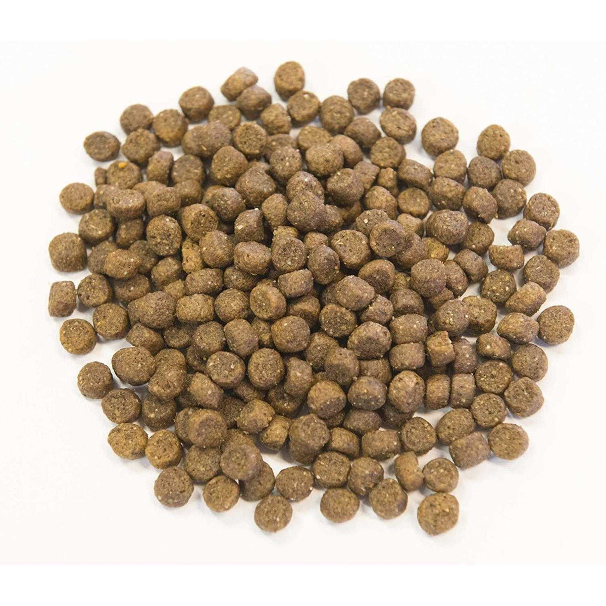 Ancient Grains with Ocean Fish Dog Food I1060